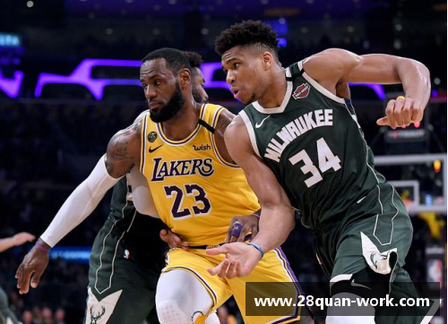 28圈NBA球员体重分析：挑战平均值的波动与趋势 - 副本