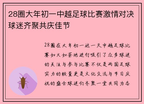28圈大年初一中越足球比赛激情对决球迷齐聚共庆佳节