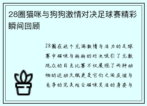 28圈猫咪与狗狗激情对决足球赛精彩瞬间回顾
