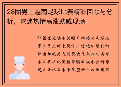 28圈男主越南足球比赛精彩回顾与分析，球迷热情高涨助威现场